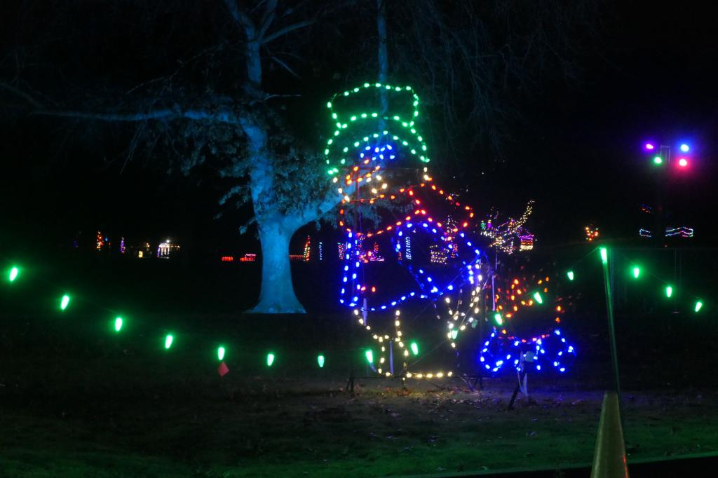 154 - 20241212 Festival of Lights Panasonic