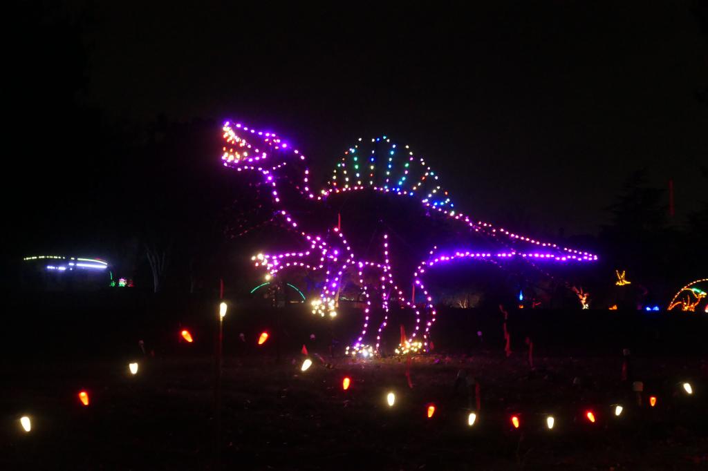 162 - 20241212 Festival of Lights Panasonic
