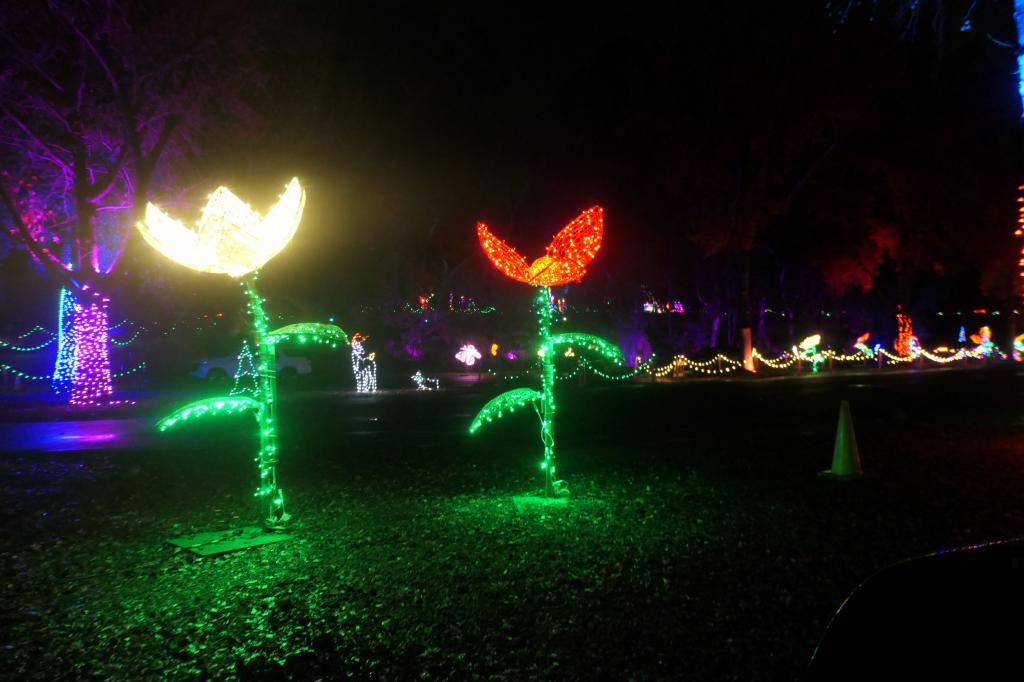 165 - 20241212 Festival of Lights Panasonic