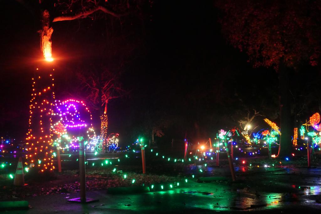 168 - 20241212 Festival of Lights Panasonic