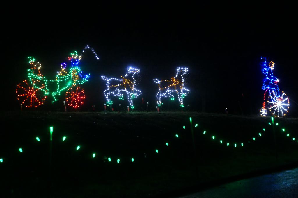 171 - 20241212 Festival of Lights Panasonic