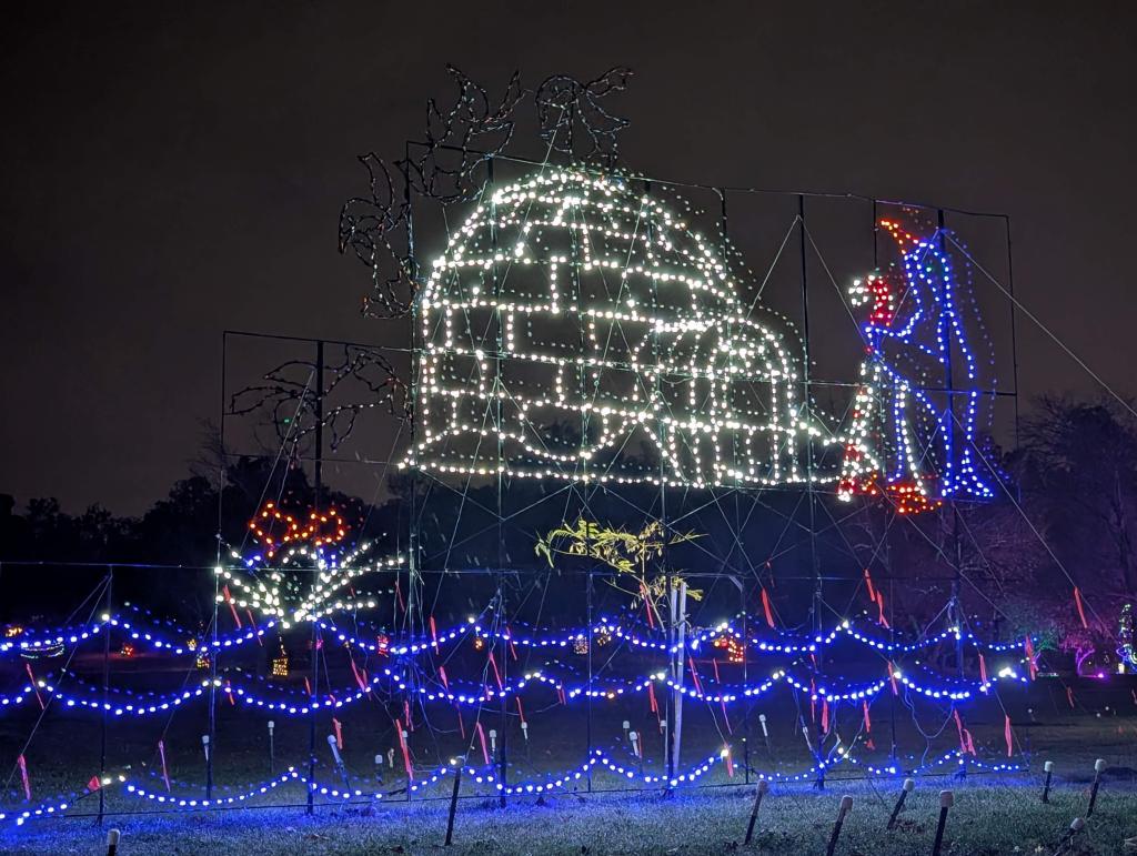 175 - 20241212 Festival of Lights Google