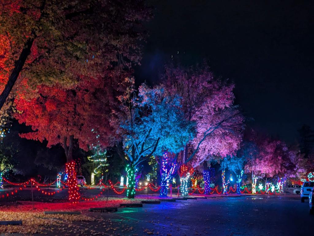 183 - 20241212 Festival of Lights Google