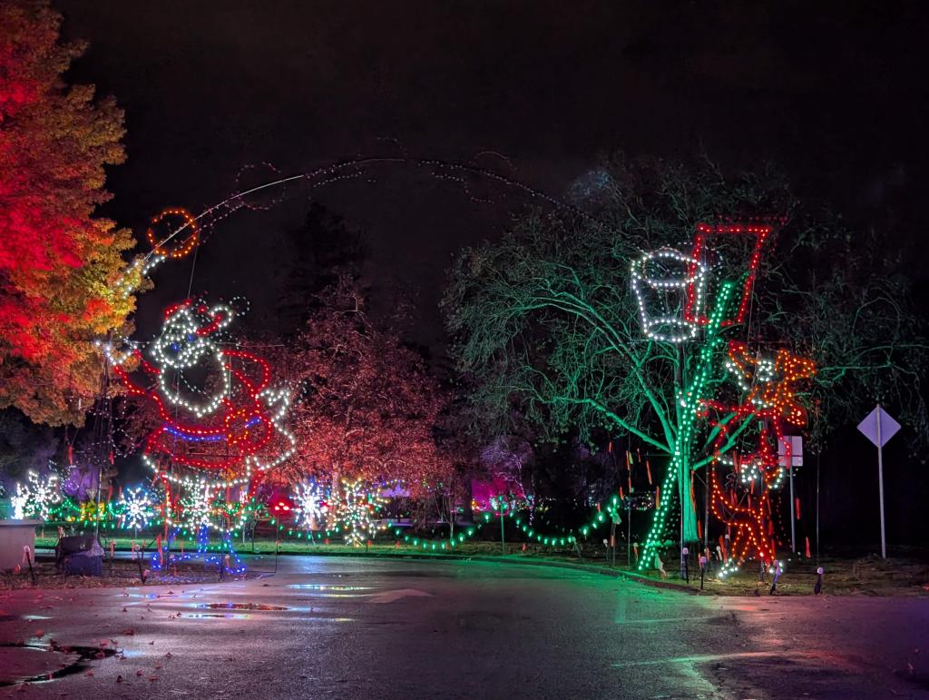184 - 20241212 Festival of Lights Google
