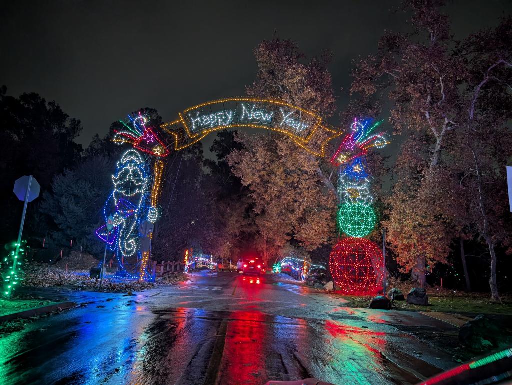 188 - 20241212 Festival of Lights Google