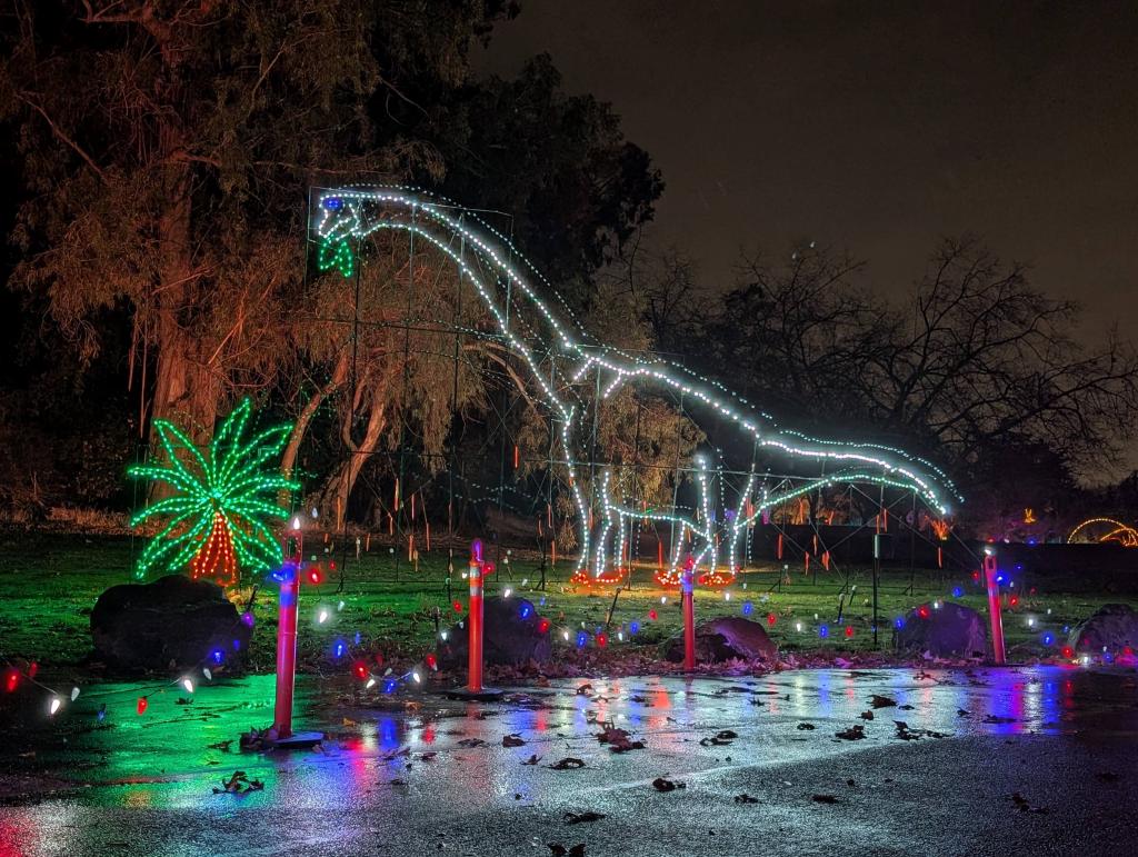 189 - 20241212 Festival of Lights Google