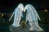 104 - 20241217 Enchanted Xmas SJ Panasonic