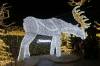107 - 20241217 Enchanted Xmas SJ Panasonic