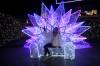 108 - 20241217 Enchanted Xmas SJ Panasonic