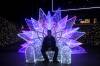109 - 20241217 Enchanted Xmas SJ Panasonic