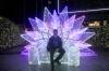 110 - 20241217 Enchanted Xmas SJ Panasonic
