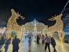 113 - 20241217 Enchanted Xmas SJ Google
