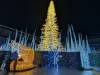 114 - 20241217 Enchanted Xmas SJ Google