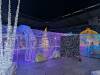123 - 20241217 Enchanted Xmas SJ Google