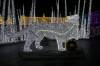 144 - 20241217 Enchanted Xmas SJ Panasonic
