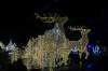 147 - 20241217 Enchanted Xmas SJ Panasonic