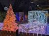 151 - 20241217 Enchanted Xmas SJ Google