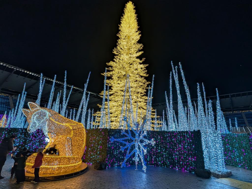 114 - 20241217 Enchanted Xmas SJ Google