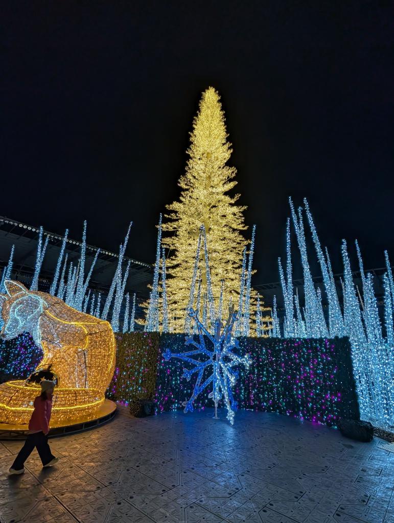 115 - 20241217 Enchanted Xmas SJ Google