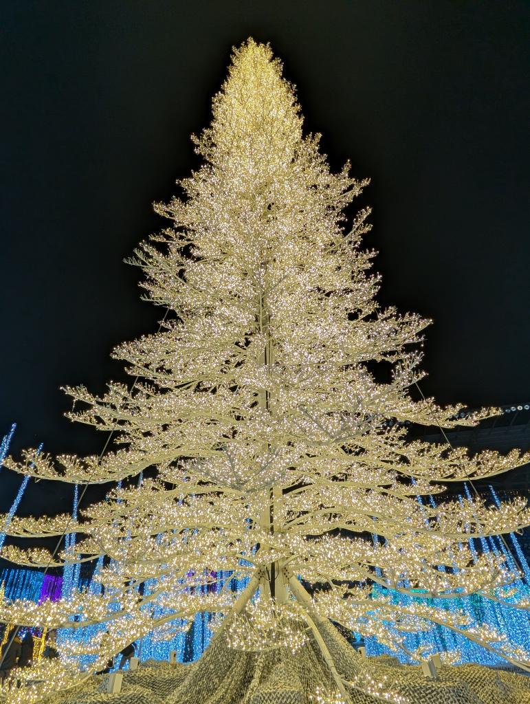 116 - 20241217 Enchanted Xmas SJ Google