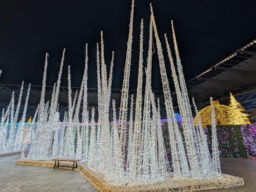 117 - 20241217 Enchanted Xmas SJ Google