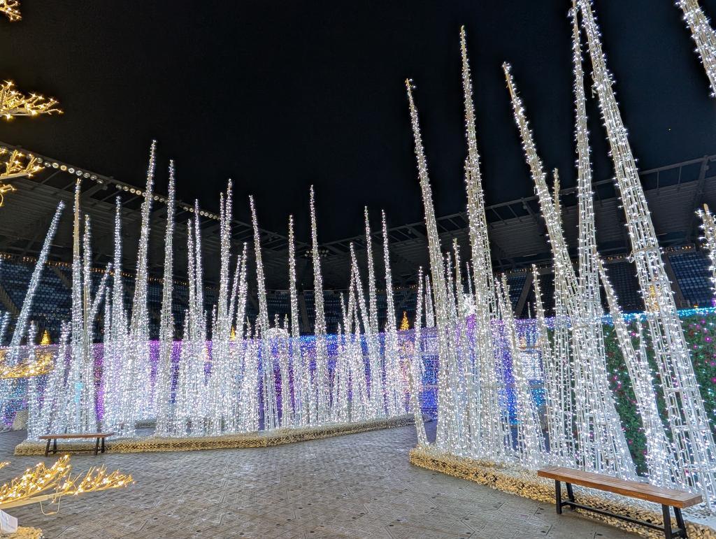 118 - 20241217 Enchanted Xmas SJ Google