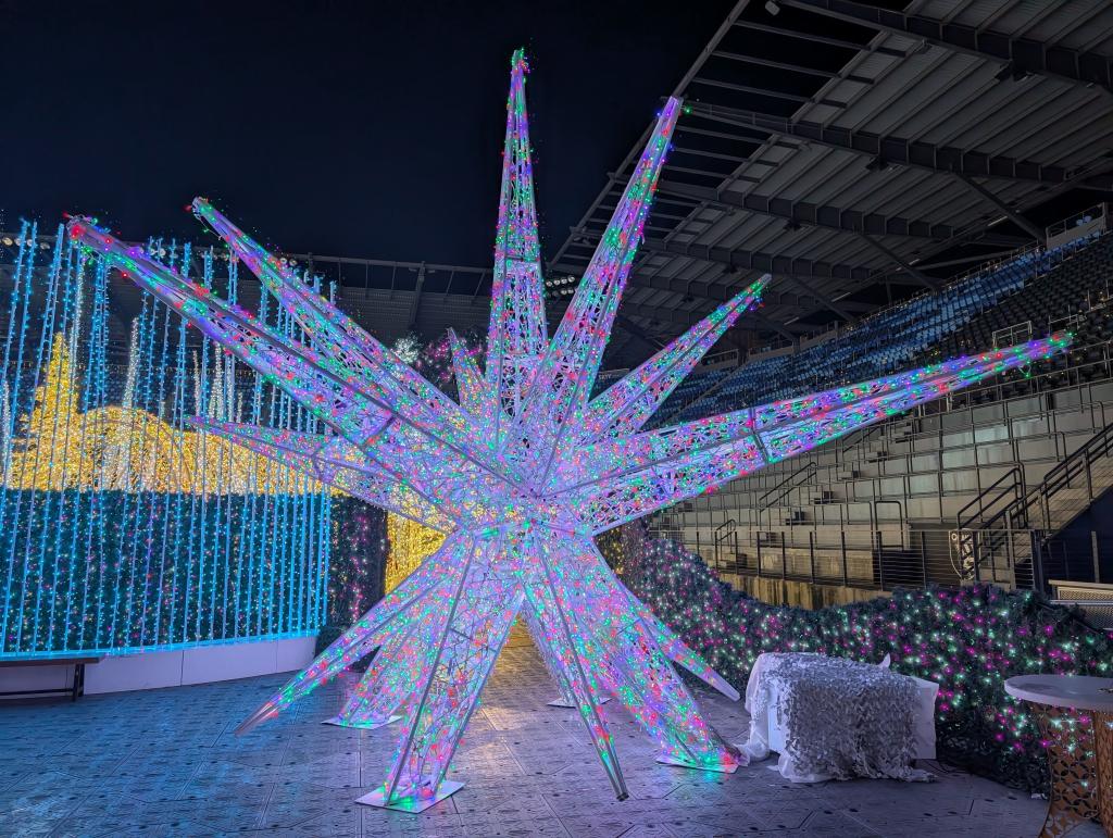 126 - 20241217 Enchanted Xmas SJ Google