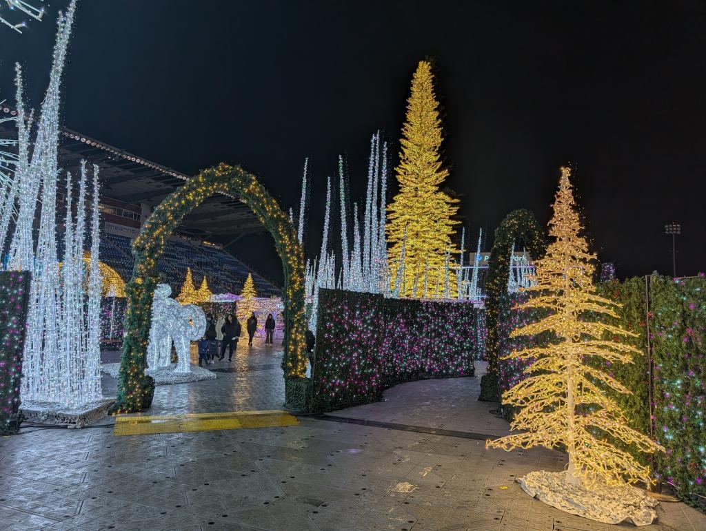 127 - 20241217 Enchanted Xmas SJ Google