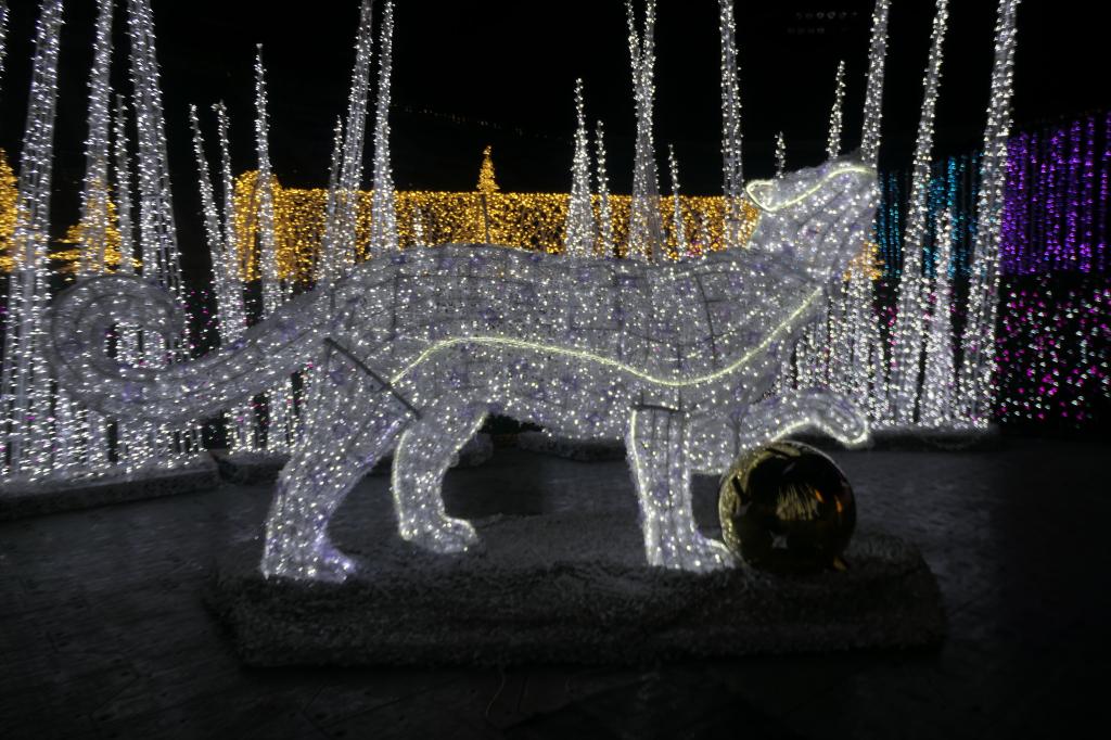 144 - 20241217 Enchanted Xmas SJ Panasonic