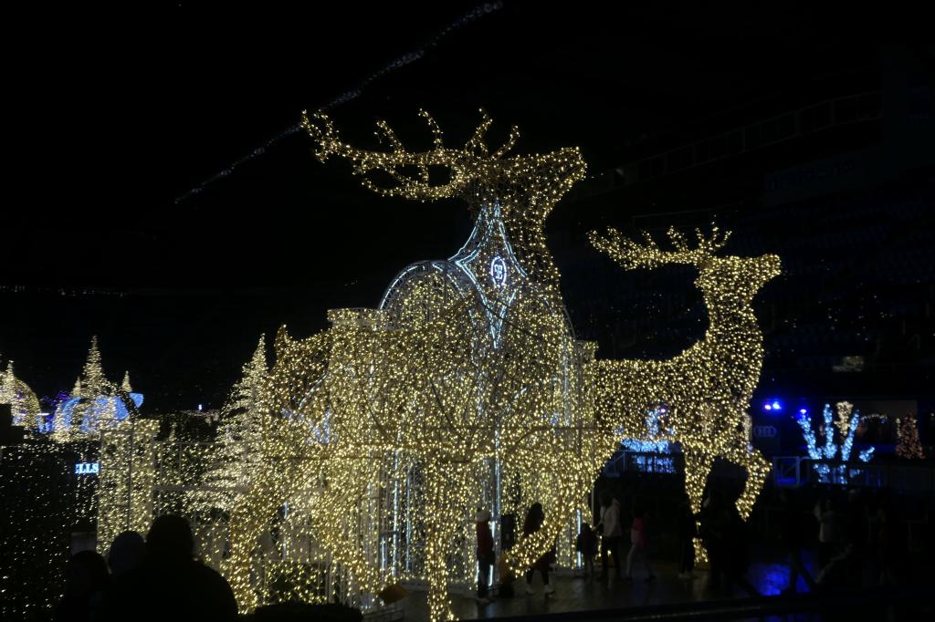 147 - 20241217 Enchanted Xmas SJ Panasonic