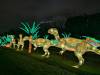 Album: 2025/01/02 - Jardin Des Plantes Illuminations