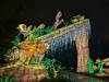 114 - 20250102 Jardin Des Plantes Illuminations