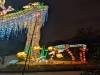 115 - 20250102 Jardin Des Plantes Illuminations