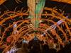 119 - 20250102 Jardin Des Plantes Illuminations