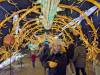 120 - 20250102 Jardin Des Plantes Illuminations