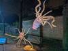 128 - 20250102 Jardin Des Plantes Illuminations