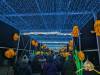 129 - 20250102 Jardin Des Plantes Illuminations