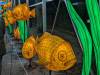 131 - 20250102 Jardin Des Plantes Illuminations