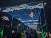 132 - 20250102 Jardin Des Plantes Illuminations