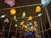 133 - 20250102 Jardin Des Plantes Illuminations