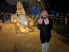 139 - 20250102 Jardin Des Plantes Illuminations