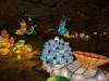 146 - 20250102 Jardin Des Plantes Illuminations