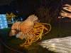 150 - 20250102 Jardin Des Plantes Illuminations