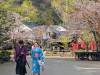 3603 - 20250417 Edo Wonderland Nikko Google Pixel 9 Pro XL
