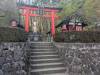 3605 - 20250417 Edo Wonderland Nikko Google Pixel 9 Pro XL