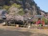 3606 - 20250417 Edo Wonderland Nikko Google Pixel 9 Pro XL