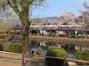 3607 - 20250417 Edo Wonderland Nikko Google Pixel 9 Pro XL
