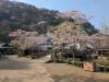 3608 - 20250417 Edo Wonderland Nikko Google Pixel 9 Pro XL