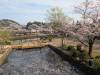 3609 - 20250417 Edo Wonderland Nikko Google Pixel 9 Pro XL