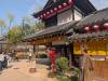 3613 - 20250417 Edo Wonderland Nikko Google Pixel 9 Pro XL